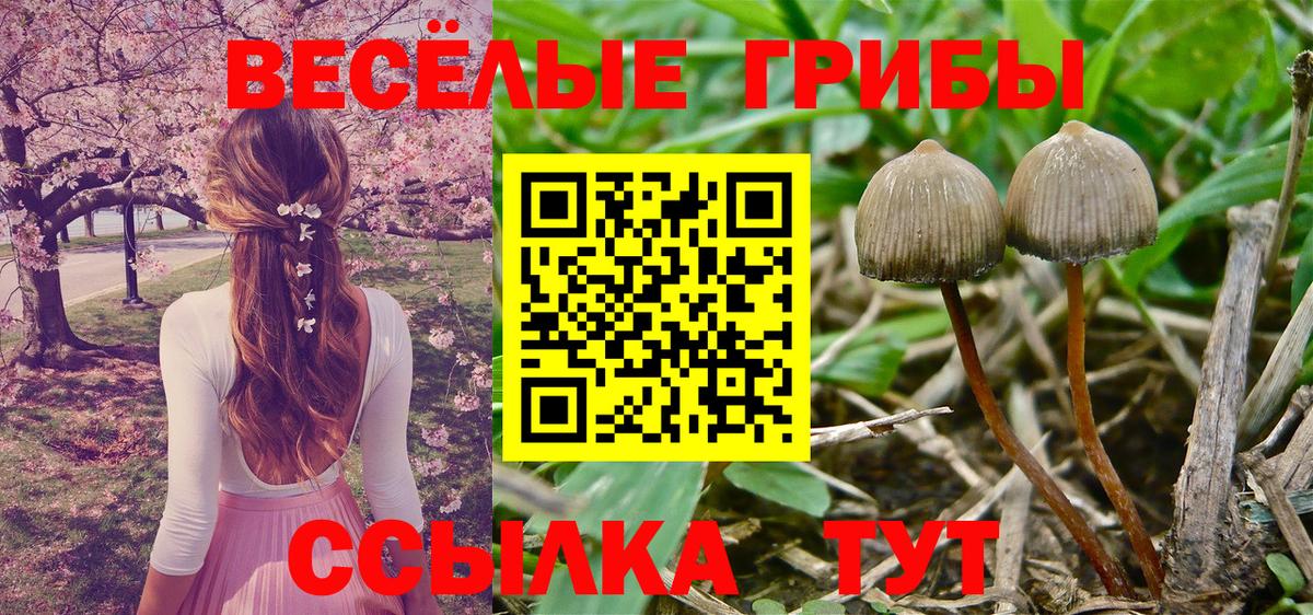 Псилоцибиновые грибы GOLDEN TEACHER  Псилоцибиновые грибы Psilocybe  Нефтеюганск  Вход с VPN 