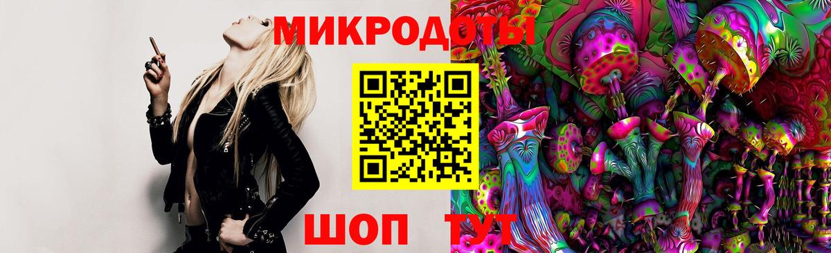 Псилоцибиновые грибы Cubensis Нефтеюганск